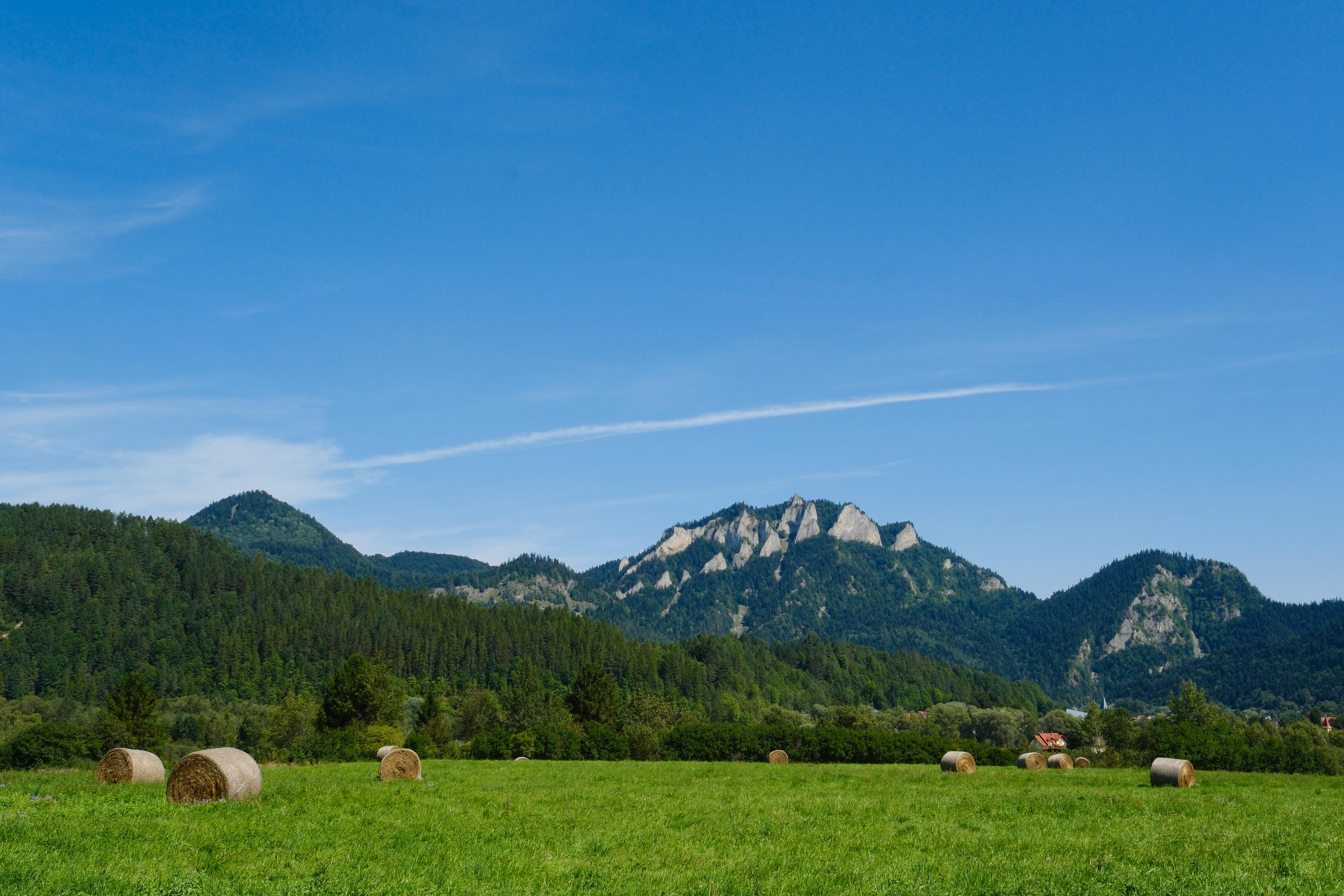 Photograph of scenery with Three Crollns mountains partially centered in the background, green meadow on the bottom, and hay bale rows on the meadow.