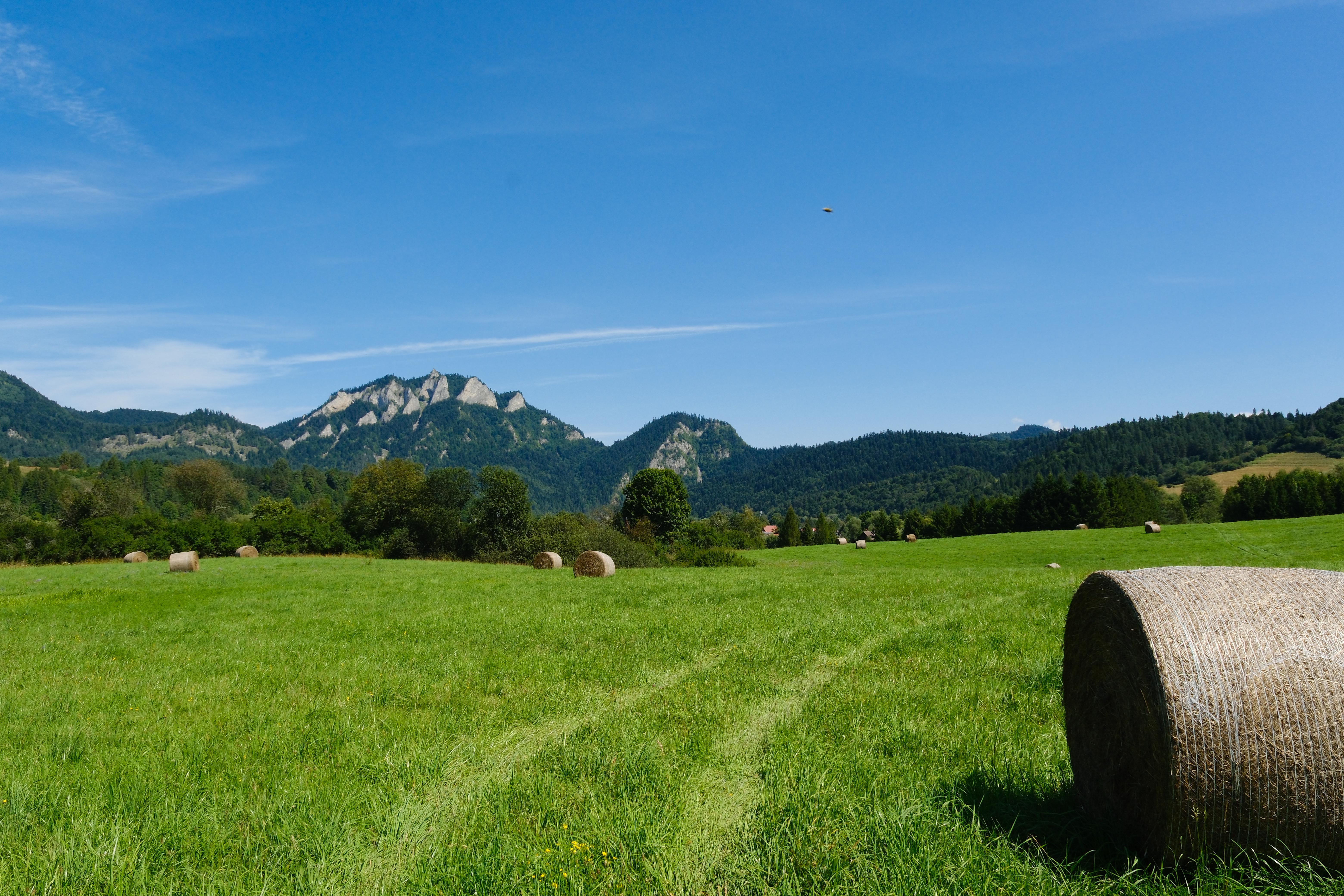 Photograph of scenery with Three Crowns mountains in the background, green meadow on the bottom, and dirt road turning right behind a hay bale roll.
