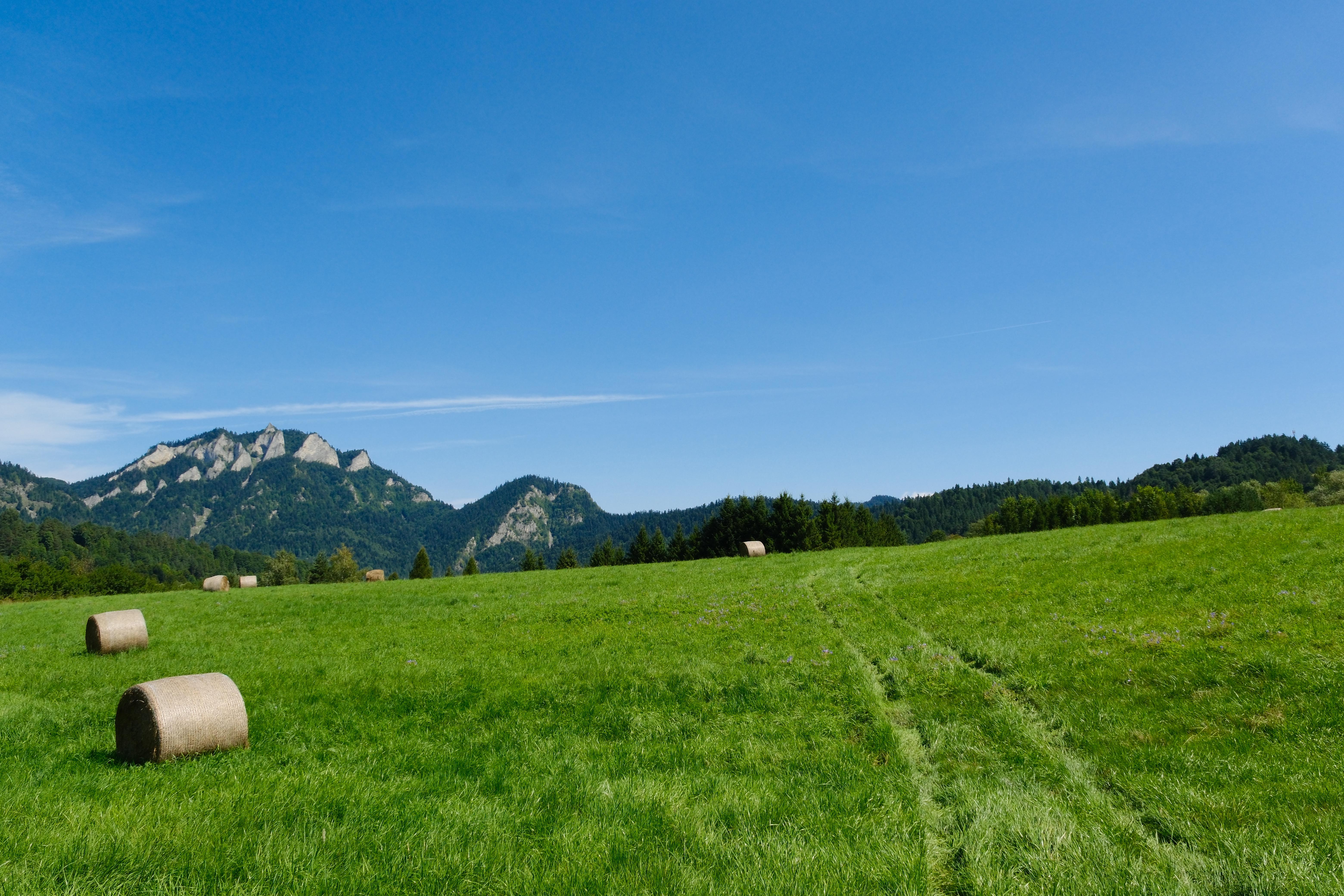 Photograph of scenery with Three Crowns mountains on the left in the background, green meadow on the bottom, hay bale rolls on the left of the meadow, and dirt road on the right.